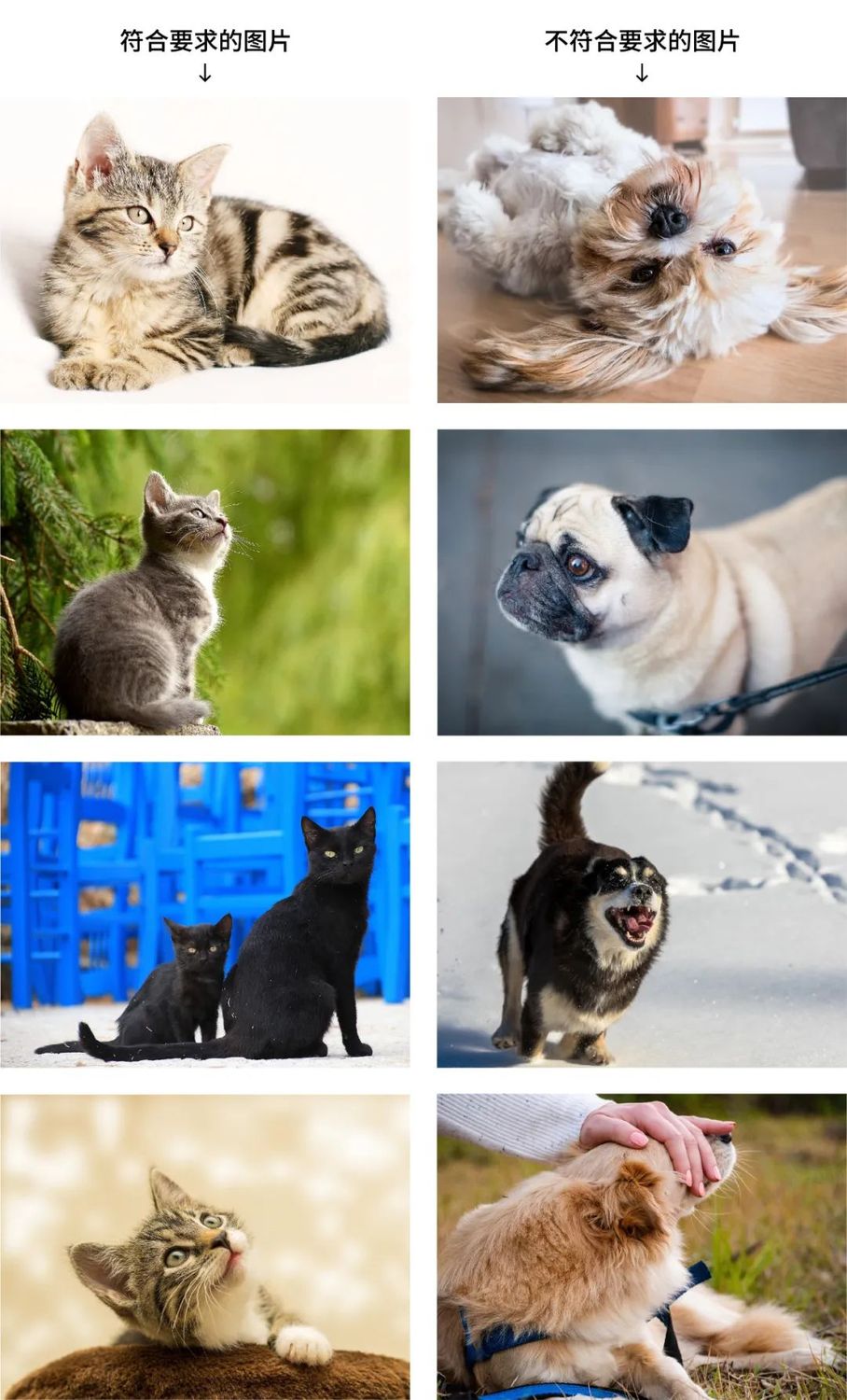 0a1266e77437ff4f839961252292307e.jpeg