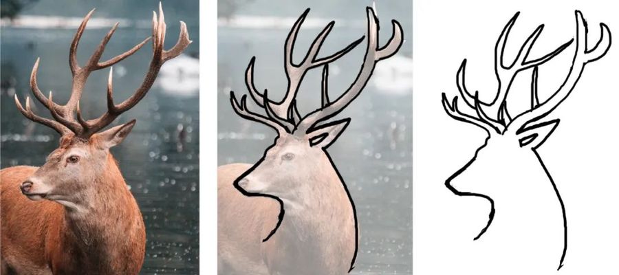 1d625dfef7674e40080ce2998c7c0ad2.jpeg